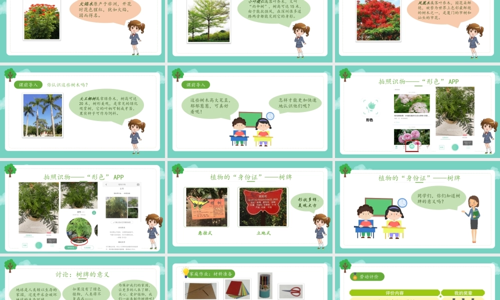 课时17071_四年级活动14《我给植物来挂牌》第一课时-《我给植物来挂牌》第一课时.pptx