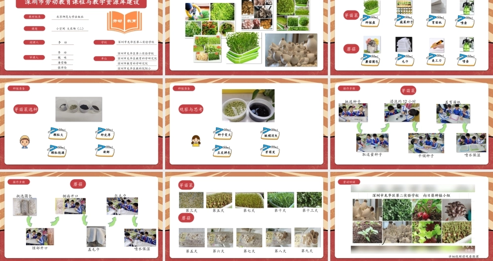 课时17128_六年级活动7《小空间大农场》第二课时-《小空间 大农场（二）》PPT.pptx