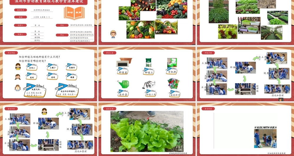 课时17126_六年级活动7《小空间大农场》第一课时-《小空间 大农场（一）》PPT.pptx