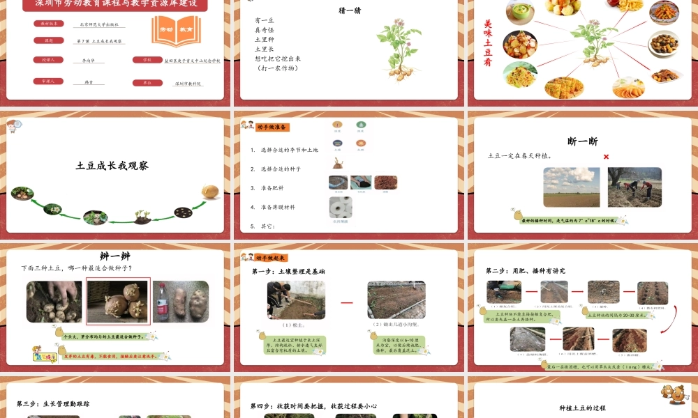 课时6614_三年级活动八《土豆成长我观察》-课件.ppt