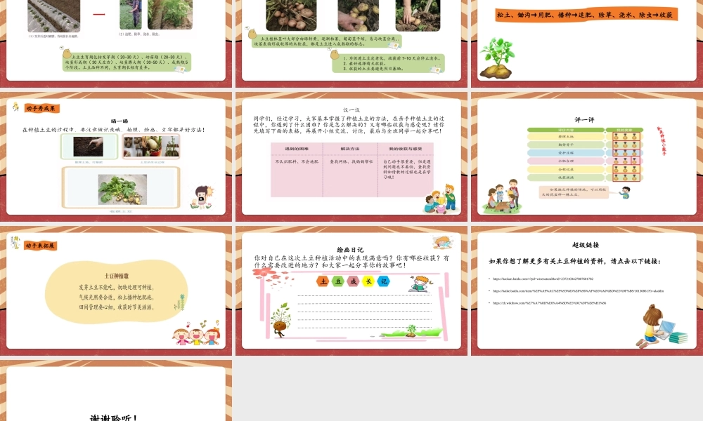 课时6614_三年级活动八《土豆成长我观察》-课件.ppt