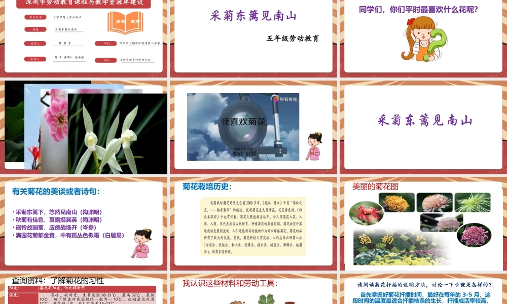 课时6647_采菊东篱见南山-《采菊东篱见南山》课件.pptx