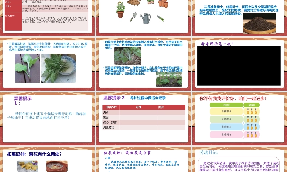 课时6647_采菊东篱见南山-《采菊东篱见南山》课件.pptx