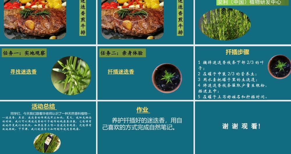 迷迭香【学霸网www.xue-ba.org】.pptx