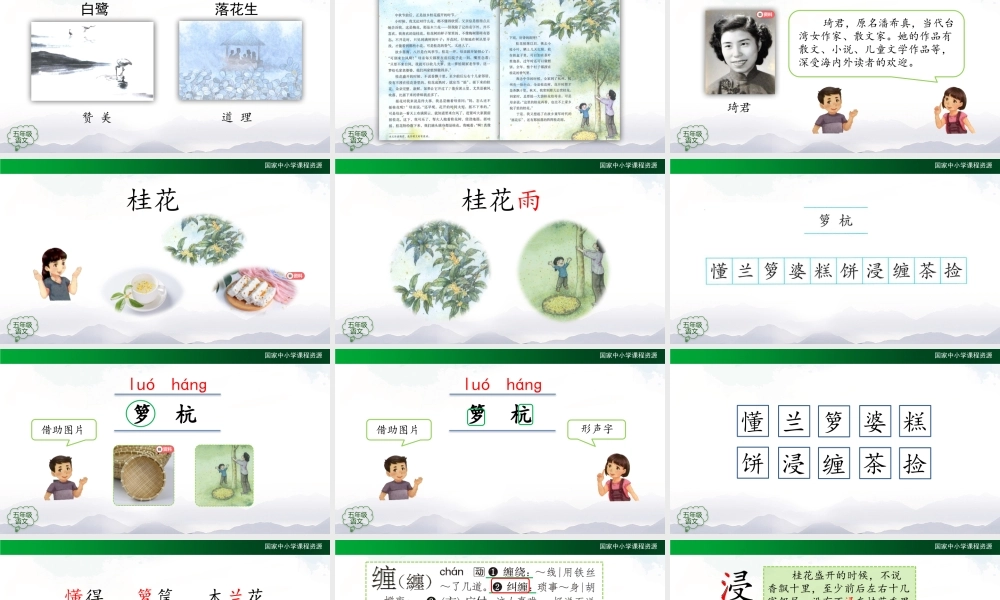 0907五年级【语文(统编版)】《桂花雨》第一课时-PPT .pptx