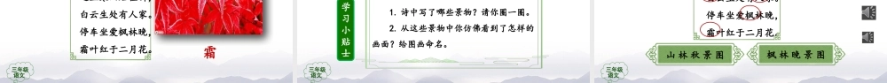 0915三年级语文（统编版）《古诗三首》(第一课时)-教学课件 .pptx