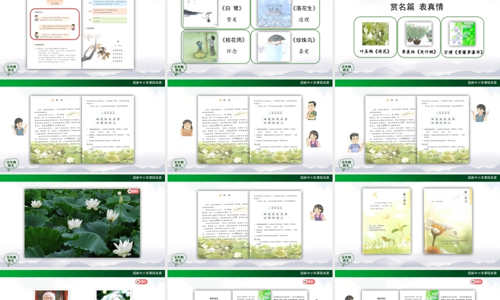 0915五年级【语文(统编版)】赏名篇 表真情-PPT .pptx