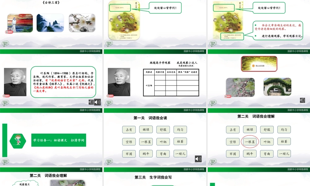 1012四年级【语文(统编版)】爬山虎的脚（第一课时）-2课件 .pptx