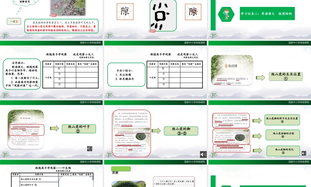 1012四年级【语文(统编版)】爬山虎的脚（第一课时）-2课件 .pptx