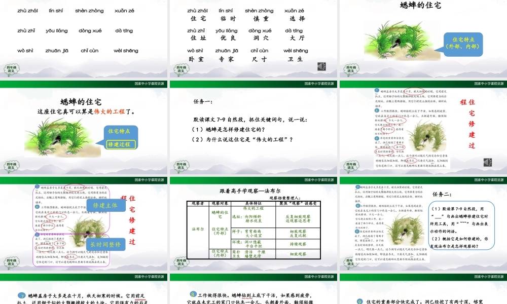 1015四年级【语文(统编版)】蟋蟀的住宅(第二课时)-2课件 .pptx
