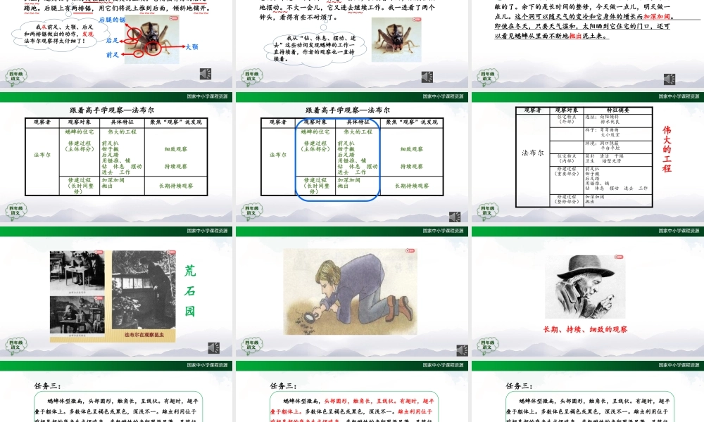 1015四年级【语文(统编版)】蟋蟀的住宅(第二课时)-2课件 .pptx