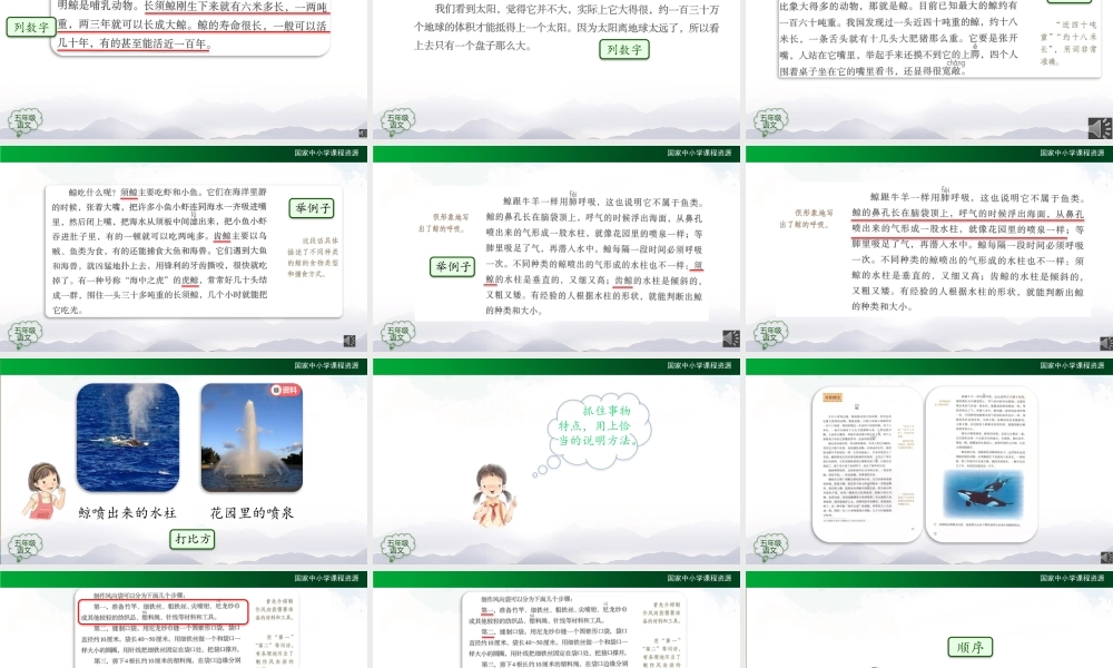 1112五年级【语文(统编版)】习作例文-2-2PPT课件 .pptx