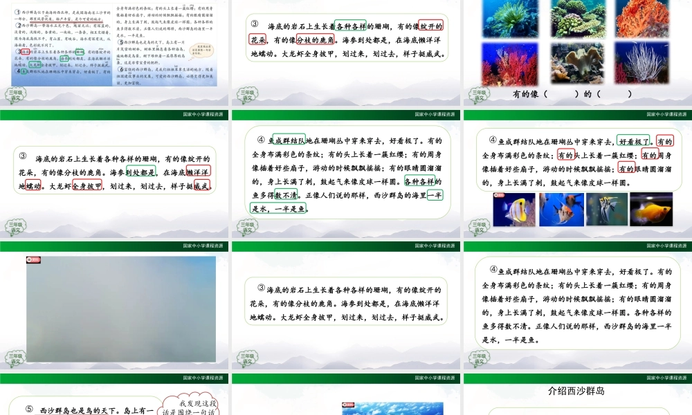 1113三年级【语文(统编版)】《富饶的西沙群岛》第二课时-2PPT课件 .pptx