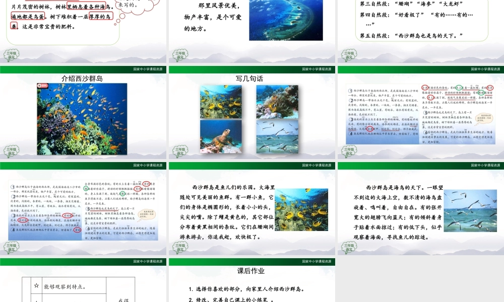 1113三年级【语文(统编版)】《富饶的西沙群岛》第二课时-2PPT课件 .pptx