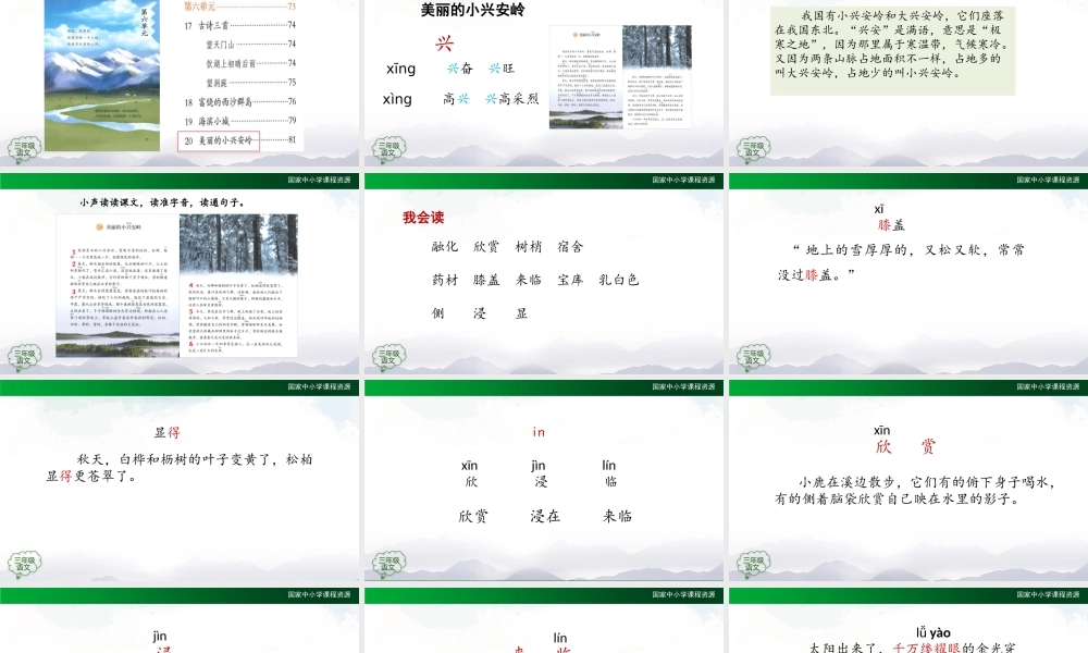 1118三年级【语文(统编版)】《美丽的小兴安岭》第一课时-2PPT课件 .pptx