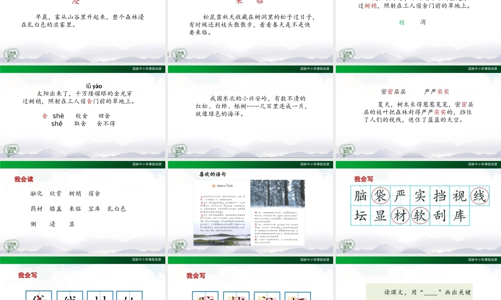 1118三年级【语文(统编版)】《美丽的小兴安岭》第一课时-2PPT课件 .pptx