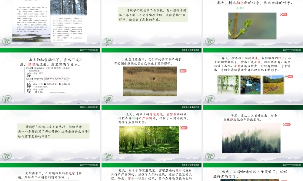 1119三年级【语文(统编版)】《美丽的小兴安岭》第二课时-2PPT课件 .pptx