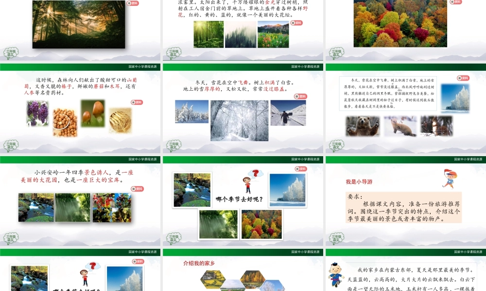 1119三年级【语文(统编版)】《美丽的小兴安岭》第二课时-2PPT课件 .pptx