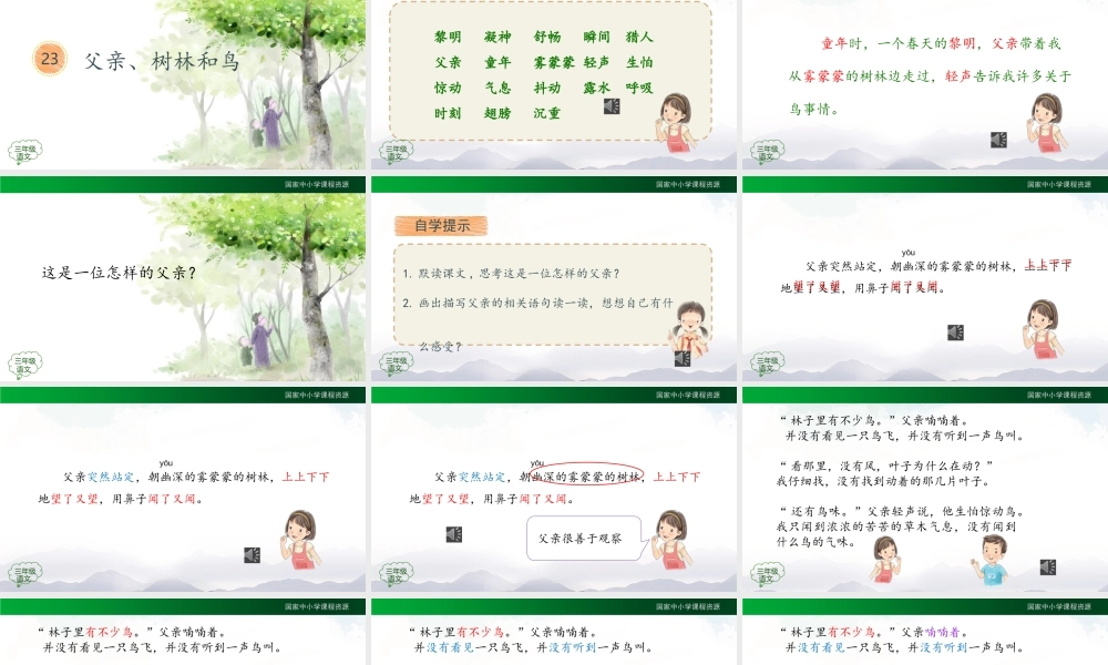 1130三年级【语文(统编版)】《父亲、树林和鸟》第二课时-2PPT课件 .pptx