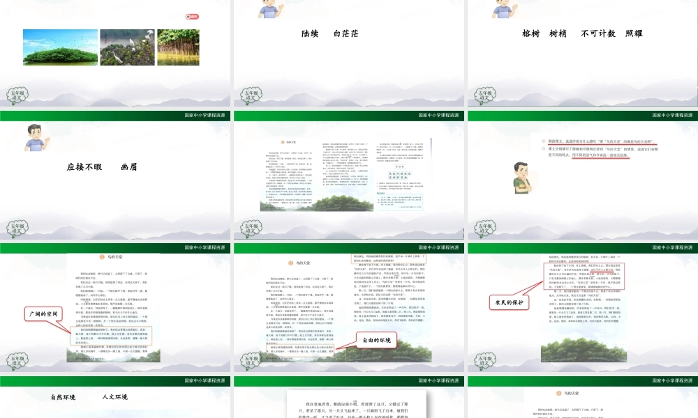 1202五年级【语文(统编版)】鸟的天堂（第二课时）-2PPT课件 .pptx
