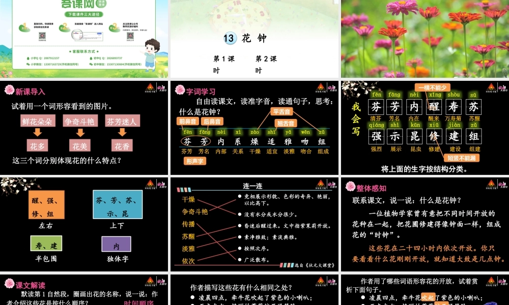 13 花钟【精华版】.pptx