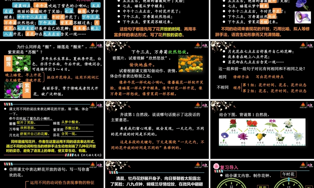 13 花钟【精华版】.pptx