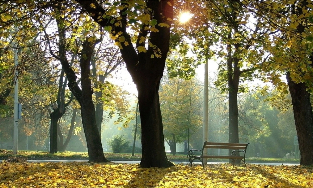 14有趣的光影.ppt