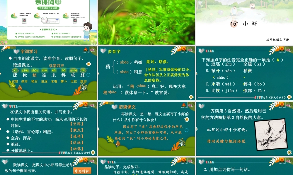 15 小虾【精华版】.pptx