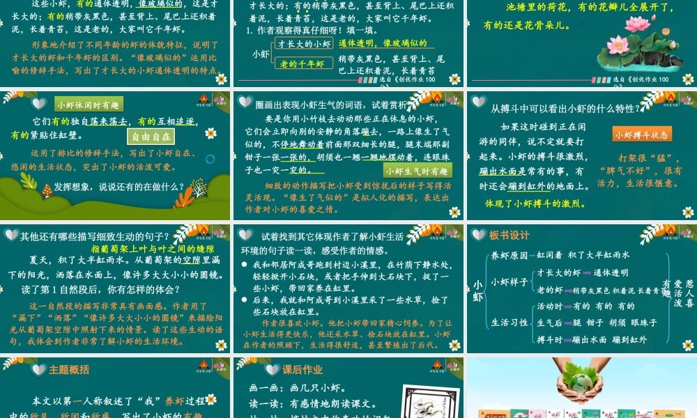 15 小虾【精华版】.pptx