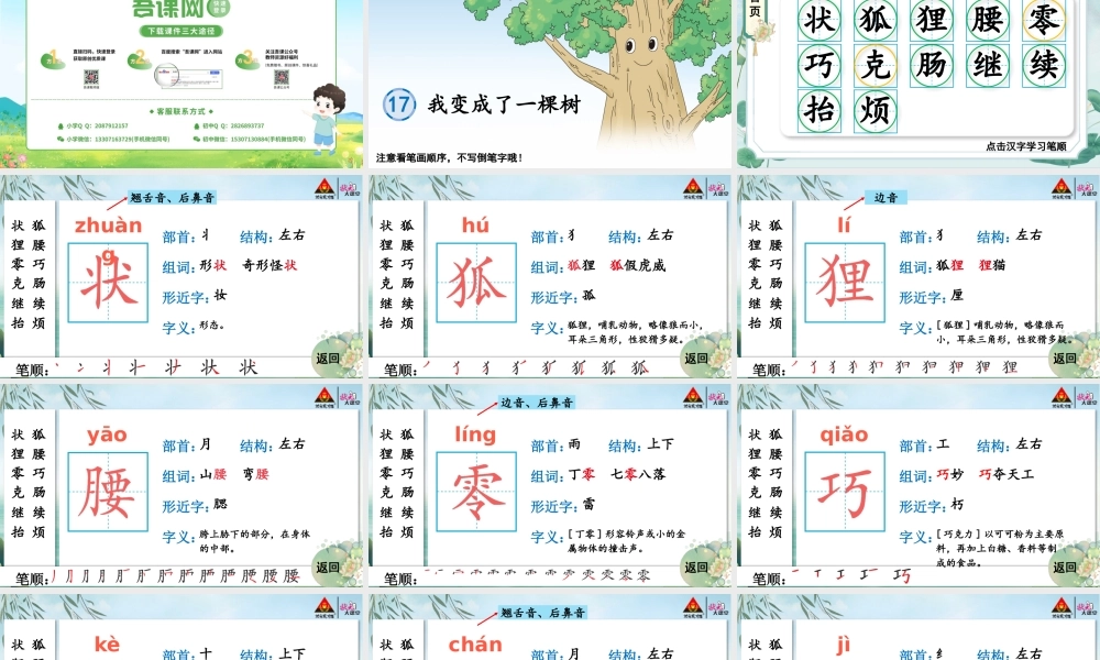 17 我变成了一棵树.pptx