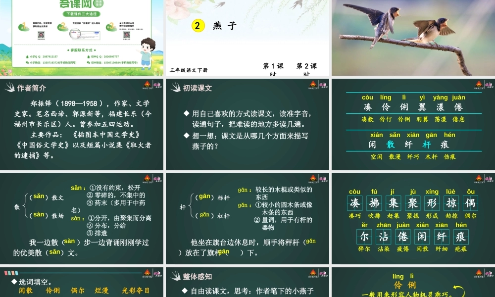 2 燕子【精华版】.pptx