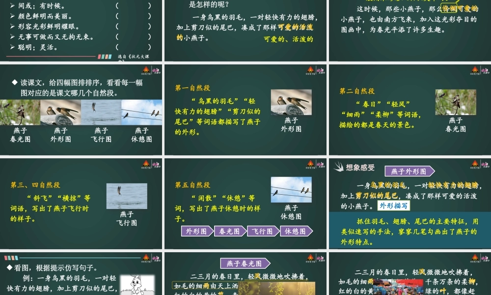 2 燕子【精华版】.pptx