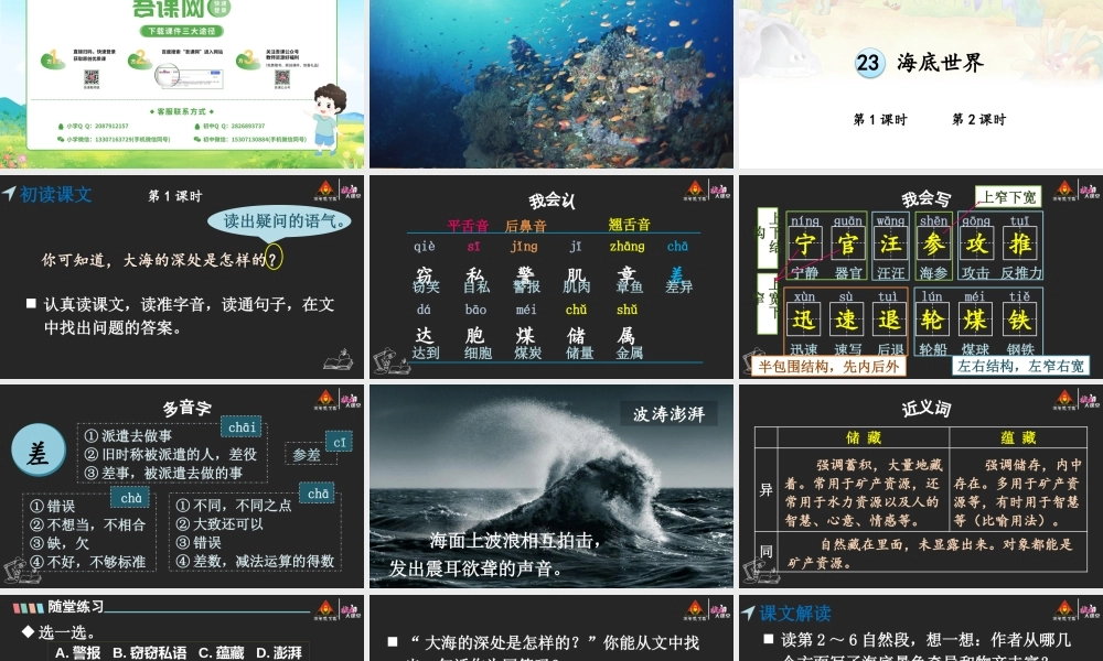 23 海底世界【精华版】.pptx