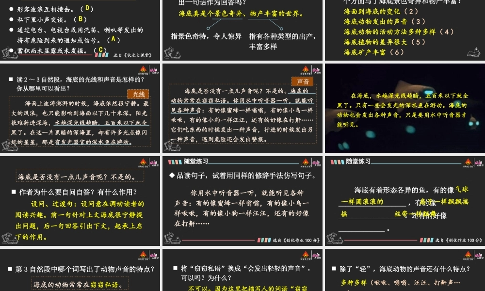 23 海底世界【精华版】.pptx