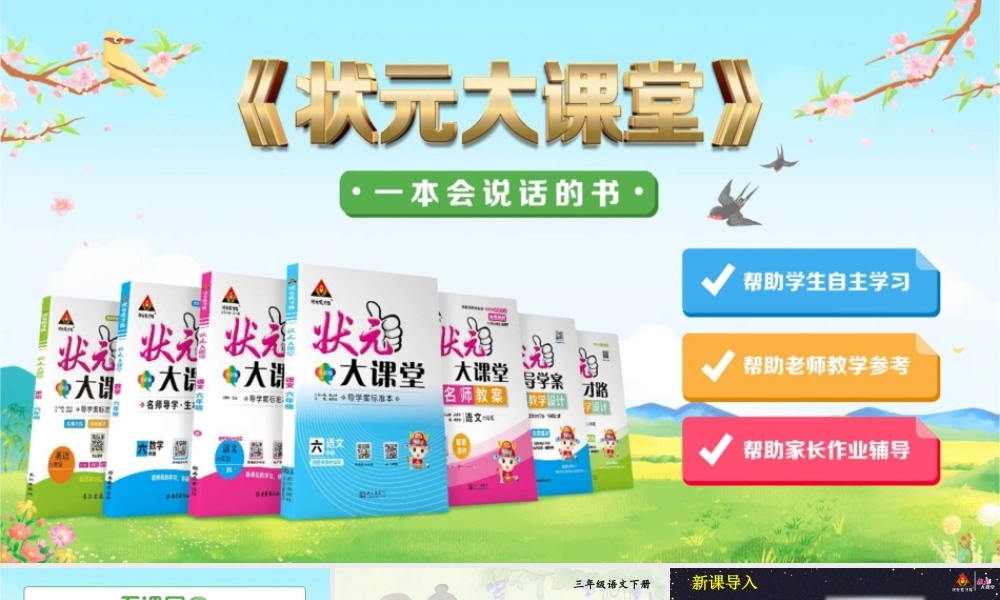 28 枣核【精华版】.pptx