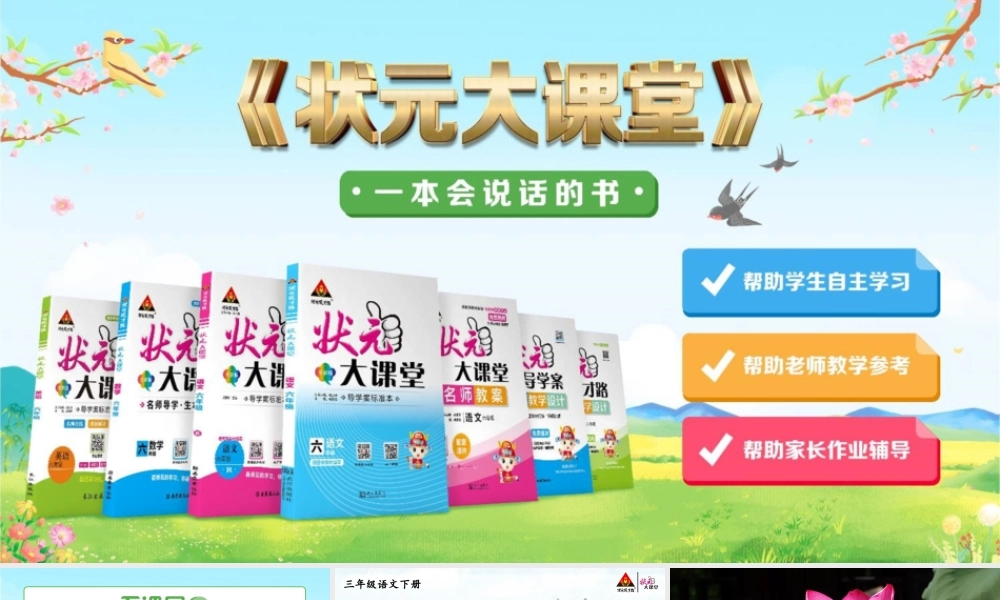 3 荷花【精华版】.pptx