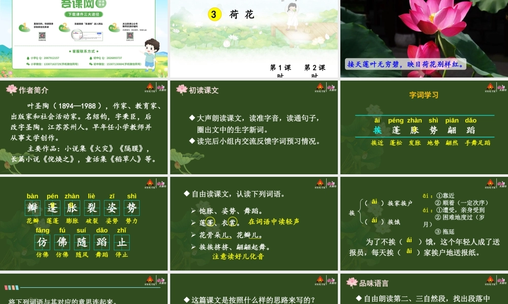 3 荷花【精华版】.pptx