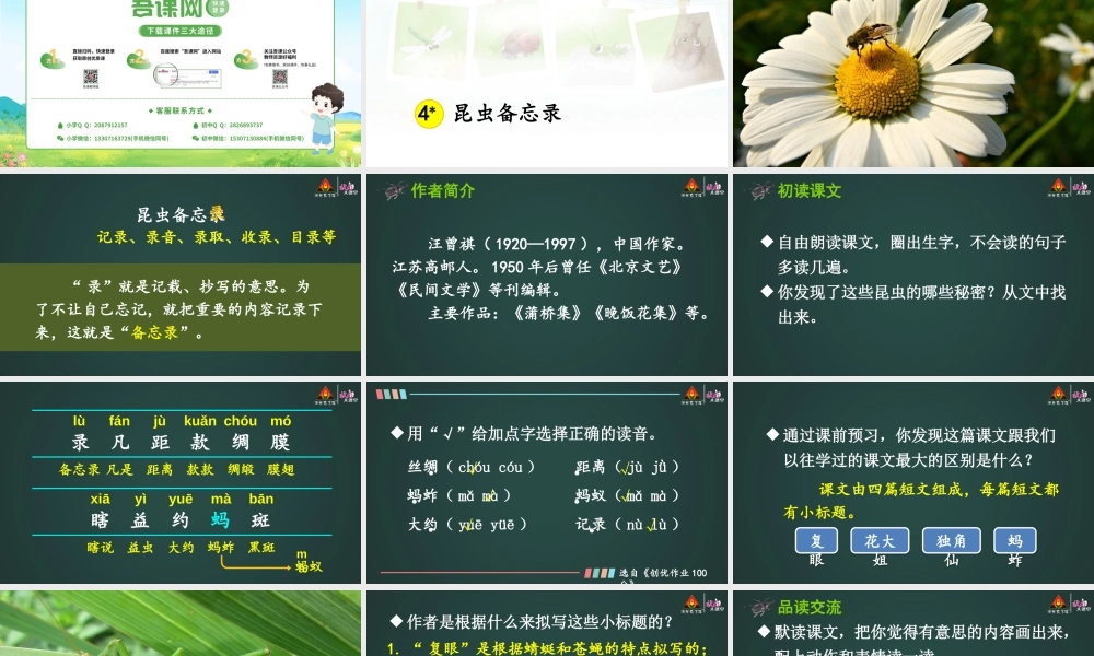 4 昆虫备忘录【精华版】.pptx