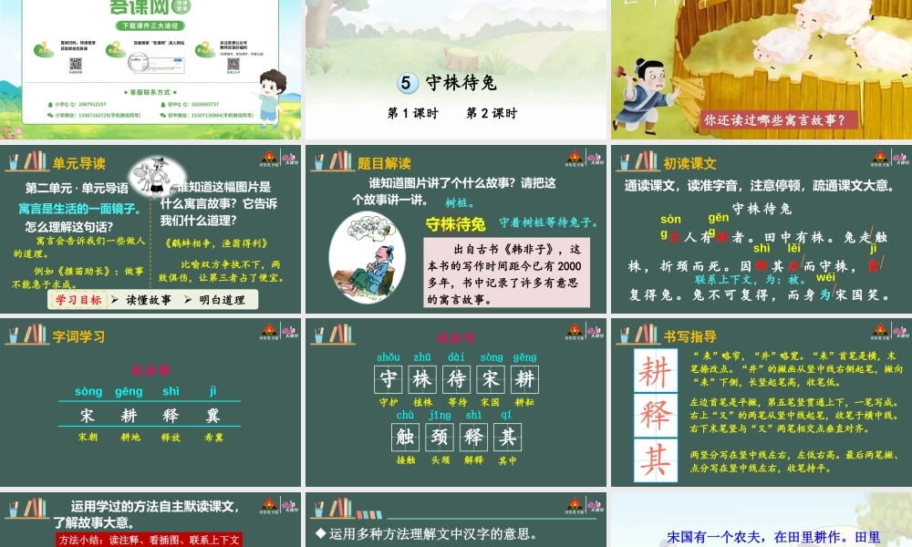 5 守株待兔【精华版】.pptx