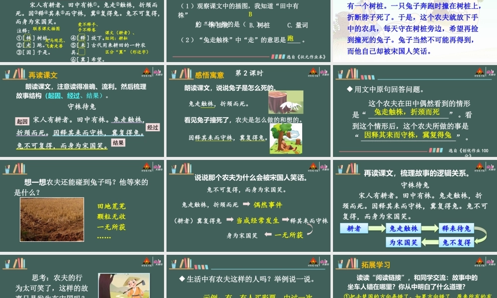 5 守株待兔【精华版】.pptx