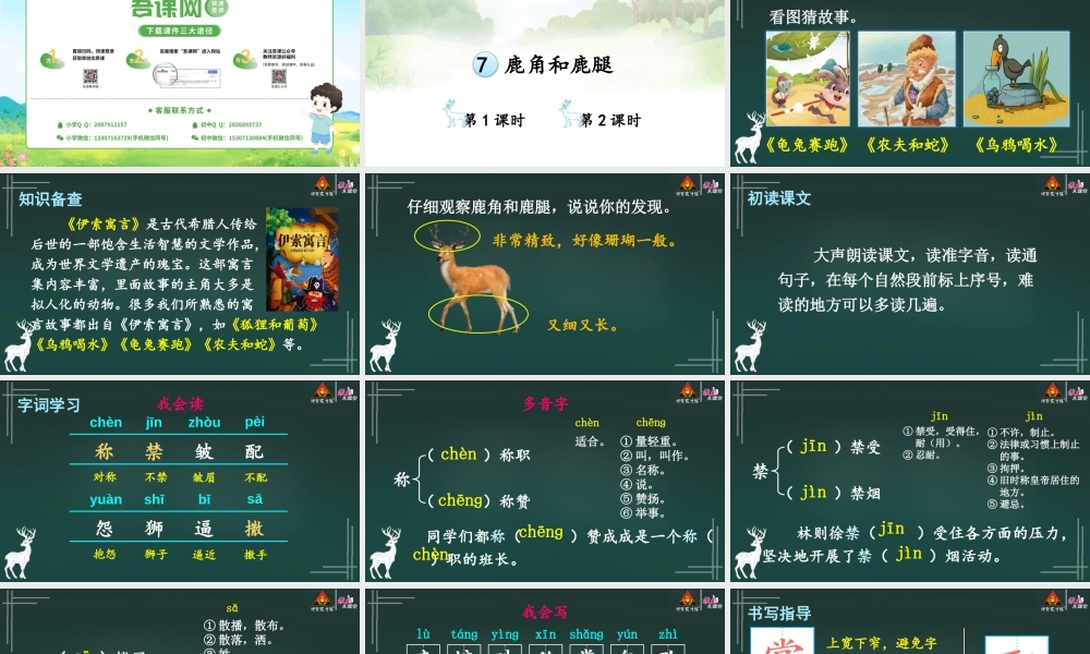 7 鹿角和鹿腿【精华版】.pptx