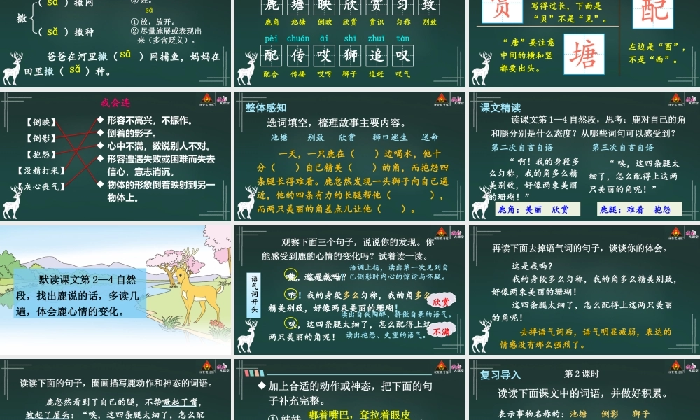 7 鹿角和鹿腿【精华版】.pptx