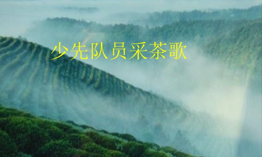 《少先队员采茶歌》课件.ppt