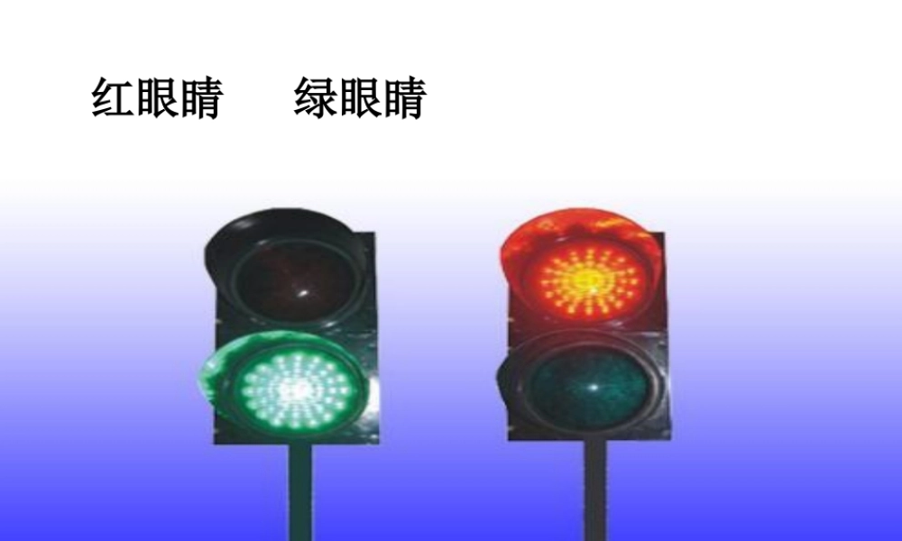 《红眼睛 绿眼睛》课件01.ppt