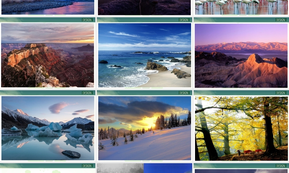 第7 课 地球我们的家园.ppt