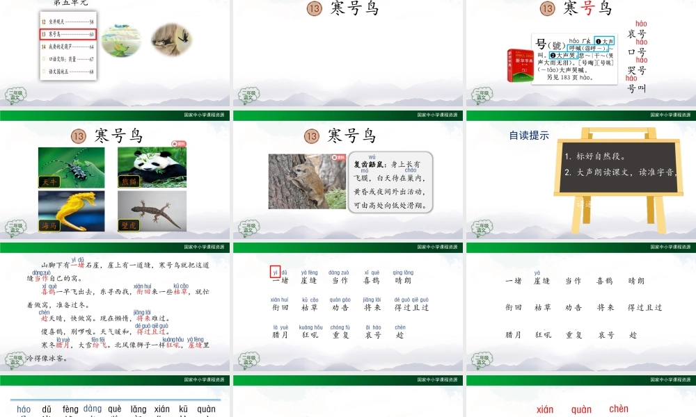 1103二年级【语文(统编版)】《寒号鸟》第一课时-2PPT课件 .pptx