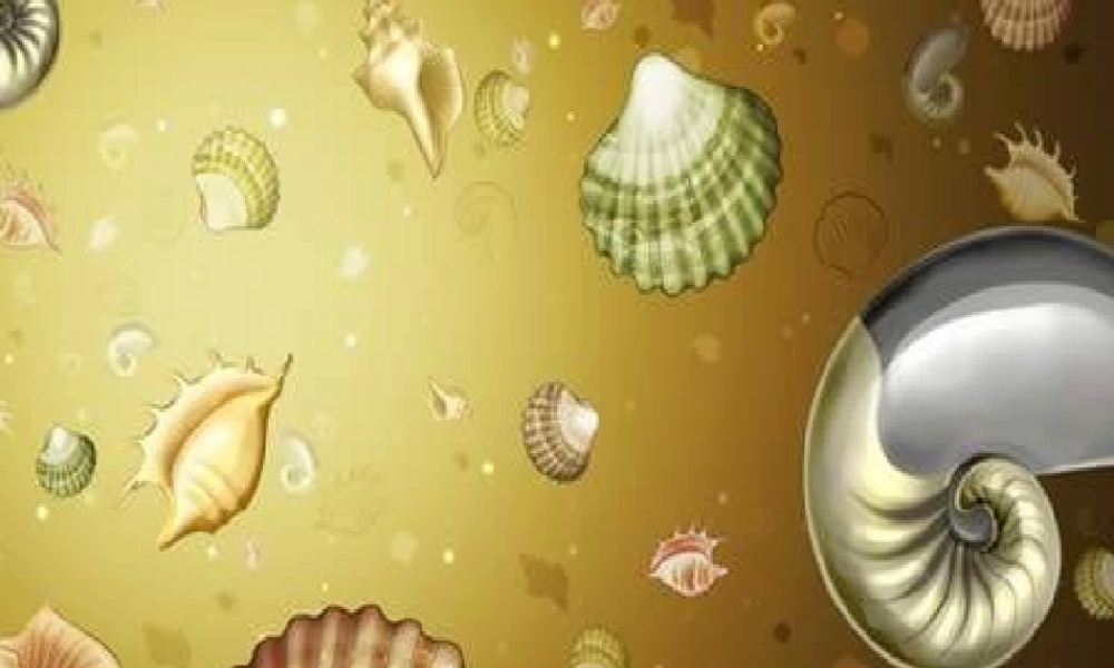 1《小螺号》课件 (7).ppt