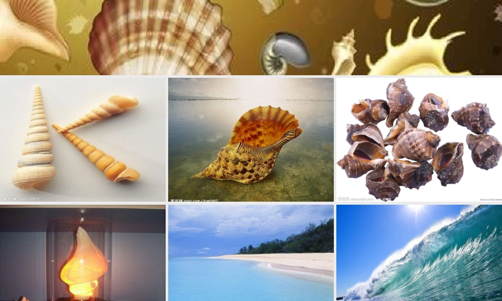 1《小螺号》课件 (7).ppt