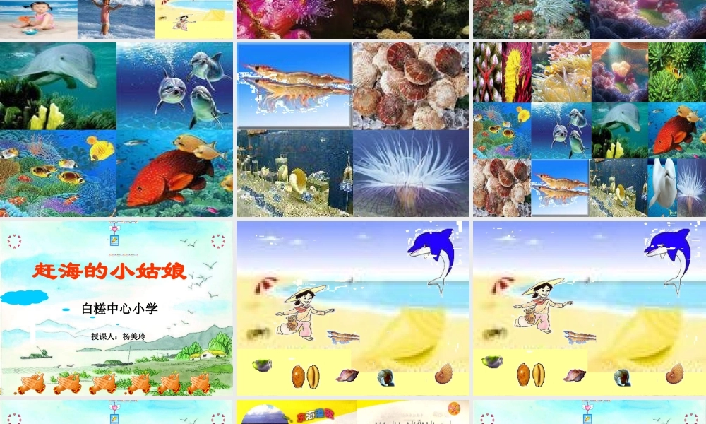 1《赶海的小姑娘》 (2).ppt