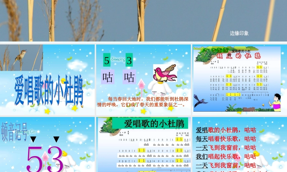 人教小学音乐三上《1爱唱歌的小杜鹃》PPT课件.ppt